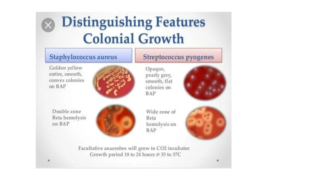 PATHOGENIC MICROORGANISMS WHAT IS A PATHOGEN? A - slide 19 of 38