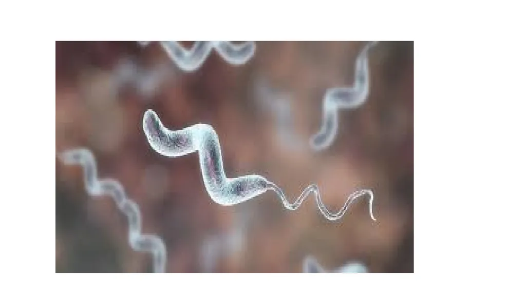 PATHOGENIC MICROORGANISMS WHAT IS A PATHOGEN? A - slide 25 of 38
