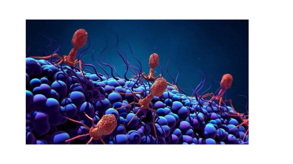 PATHOGENIC MICROORGANISMS WHAT IS A PATHOGEN? A - slide 7 of 38