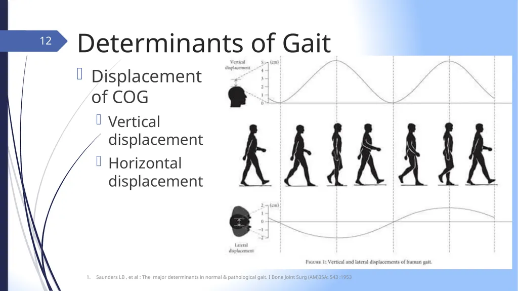 GAIT INTRODUCTION Study of human locomotion . Gait - slide 12 of 27