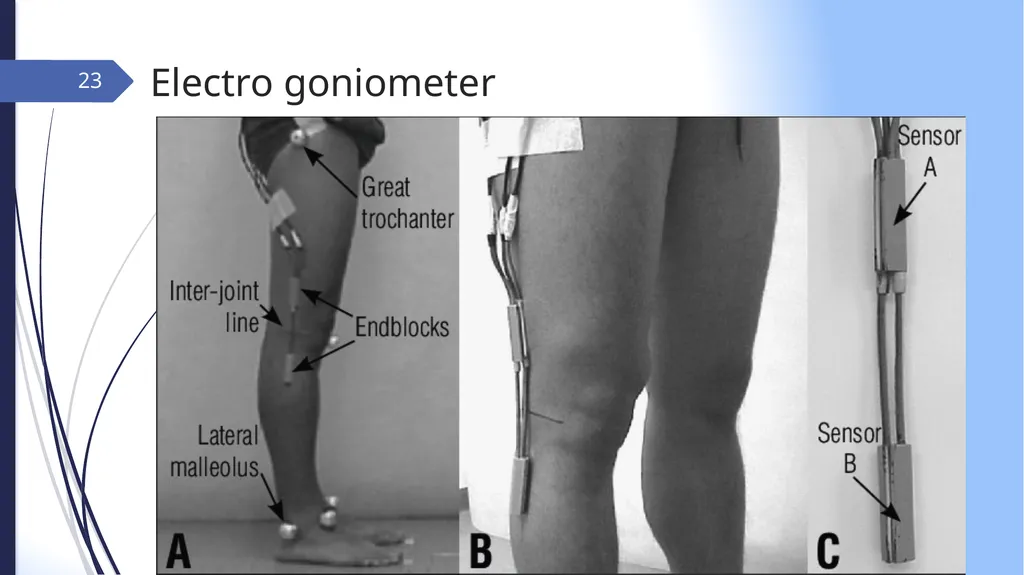 GAIT INTRODUCTION Study of human locomotion . Gait - slide 23 of 27