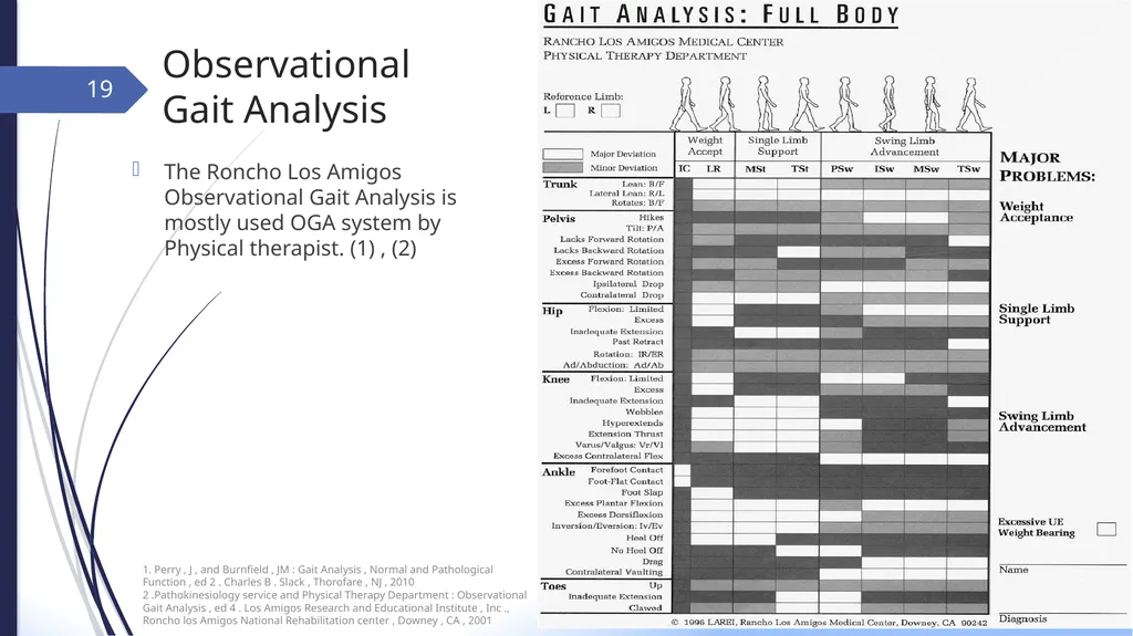 GAIT INTRODUCTION Study of human locomotion . Gait - slide 19 of 27