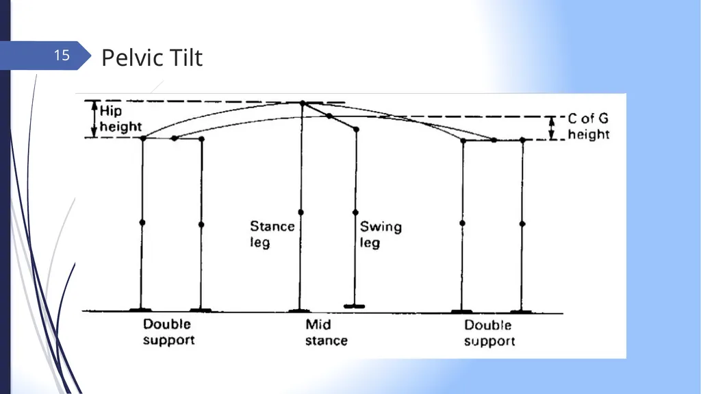 GAIT INTRODUCTION Study of human locomotion . Gait - slide 15 of 27