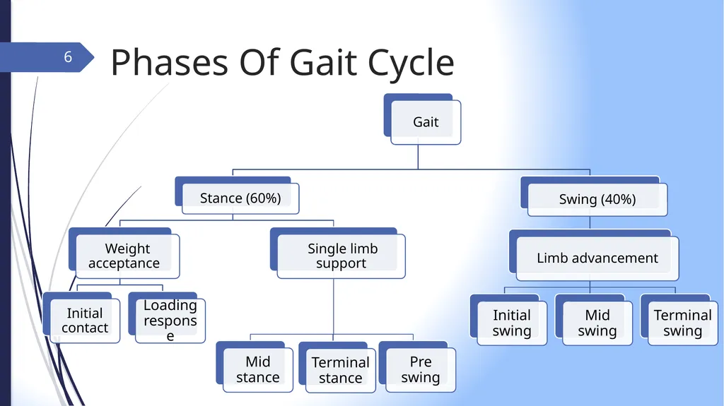 GAIT INTRODUCTION Study of human locomotion . Gait - slide 6 of 27