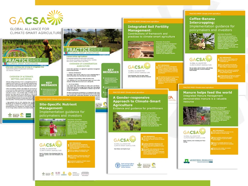 Technical interventions and practices in CSA Meryl - slide 2 of 5