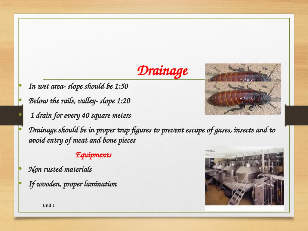 Abattoir – materials, designs and layout 5/19/2020 - slide 18 of 36