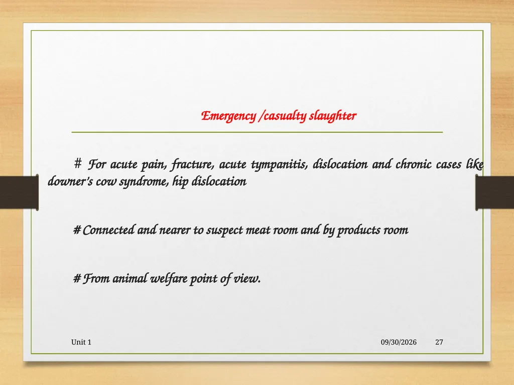 Abattoir – materials, designs and layout 5/19/2020 - slide 27 of 36
