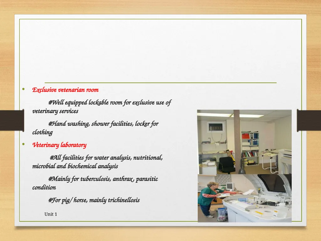 Abattoir – materials, designs and layout 5/19/2020 - slide 36 of 36