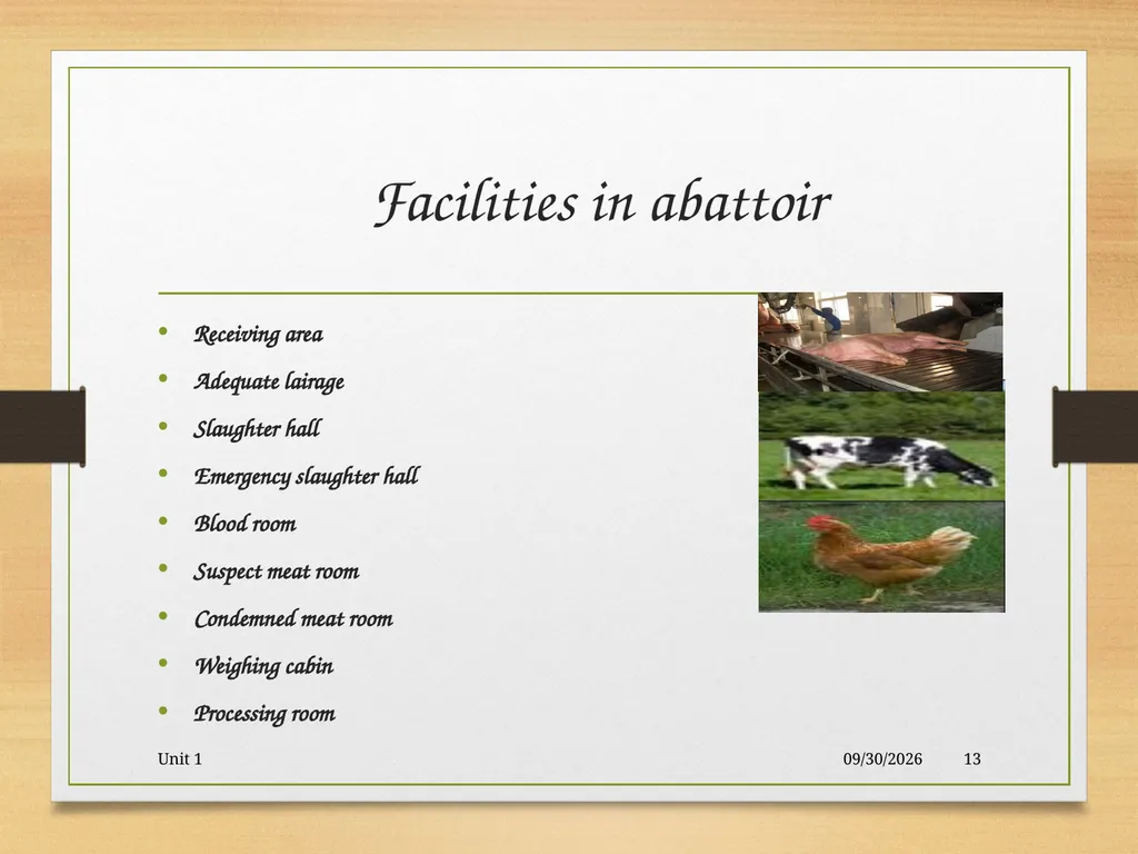 Abattoir – materials, designs and layout 5/19/2020 - slide 13 of 36