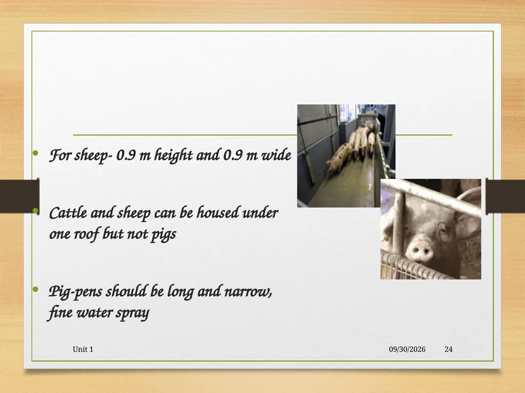 Abattoir – materials, designs and layout 5/19/2020 - slide 24 of 36