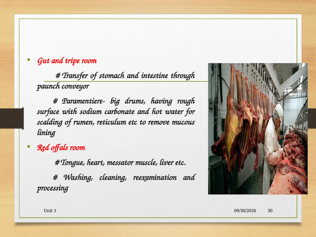 Abattoir – materials, designs and layout 5/19/2020 - slide 30 of 36