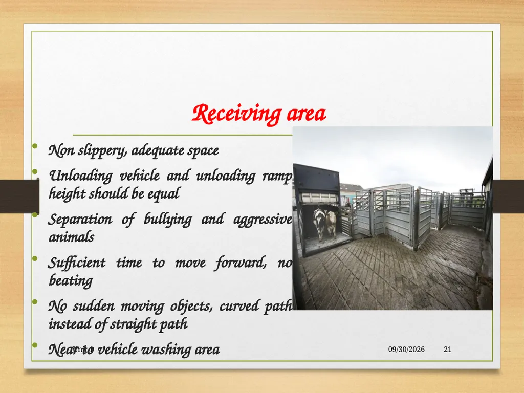 Abattoir – materials, designs and layout 5/19/2020 - slide 21 of 36