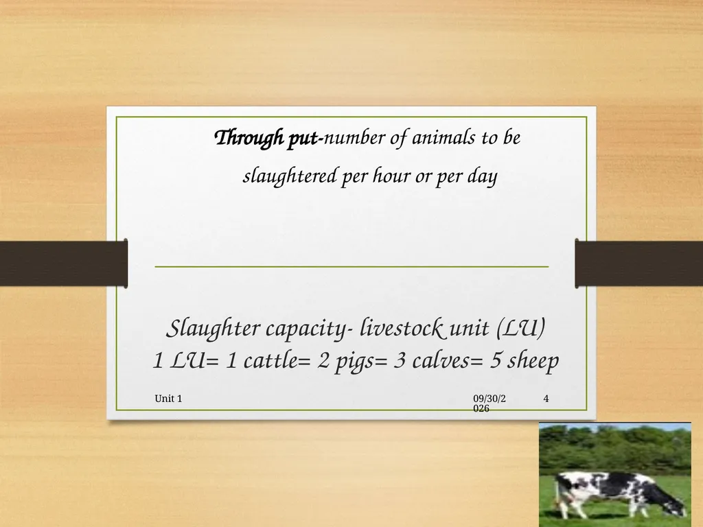 Abattoir – materials, designs and layout 5/19/2020 - slide 4 of 36