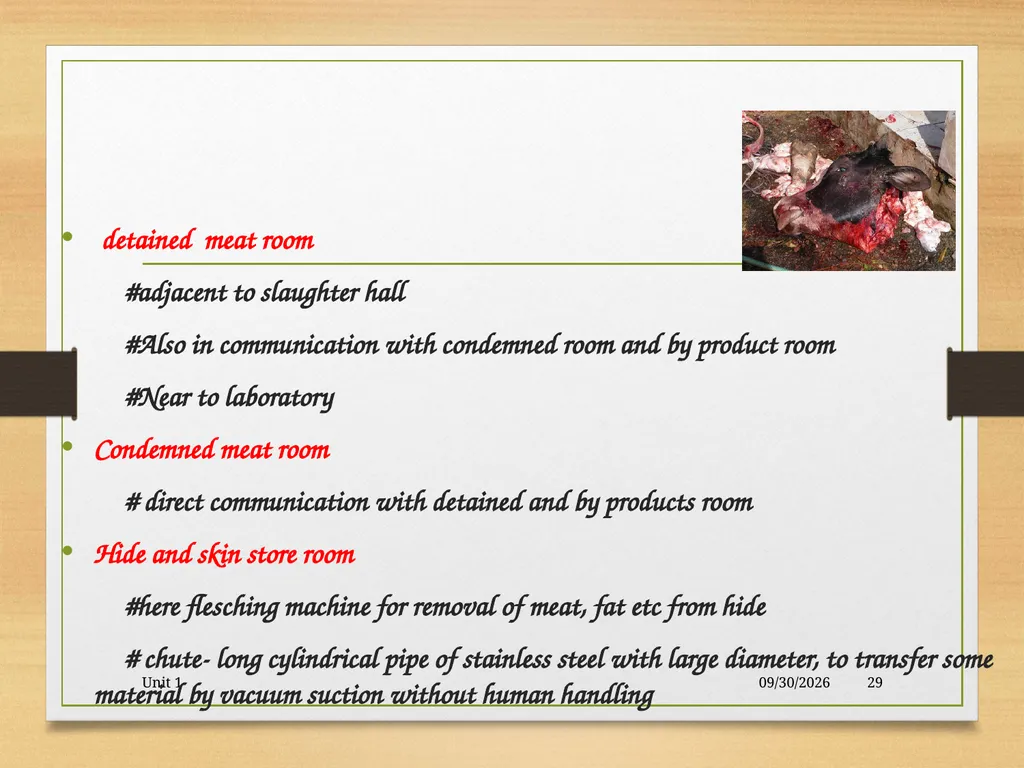 Abattoir – materials, designs and layout 5/19/2020 - slide 29 of 36