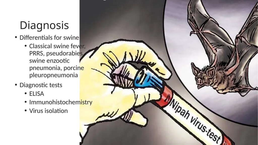 Preventing Future Pandemics. Nipah Virus “Bat with - slide 26 of 32