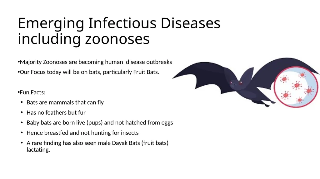 Preventing Future Pandemics. Nipah Virus “Bat with - slide 4 of 32