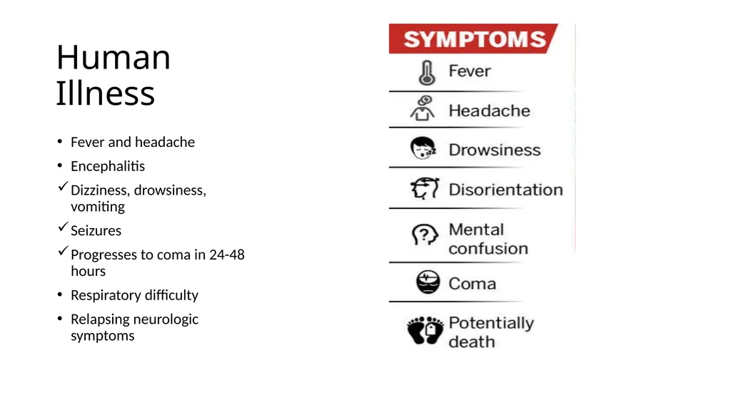 Preventing Future Pandemics. Nipah Virus “Bat with - slide 23 of 32