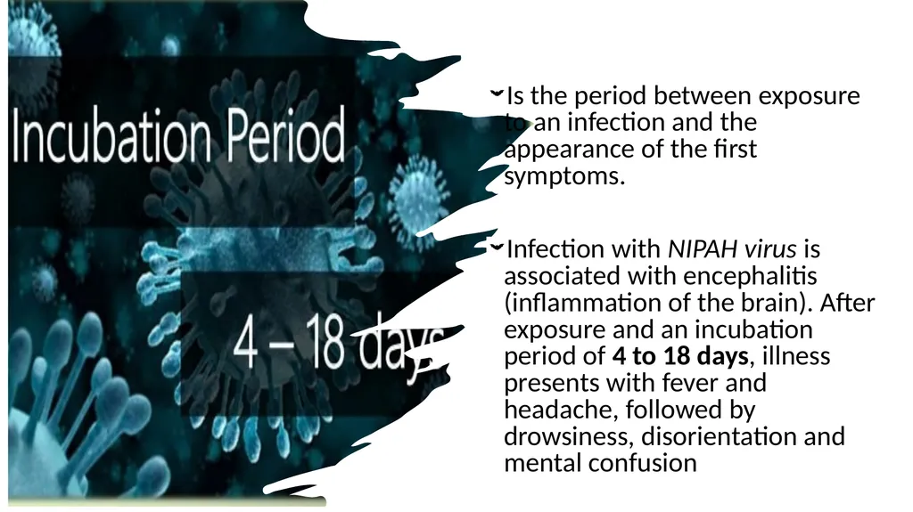 Preventing Future Pandemics. Nipah Virus “Bat with - slide 8 of 32
