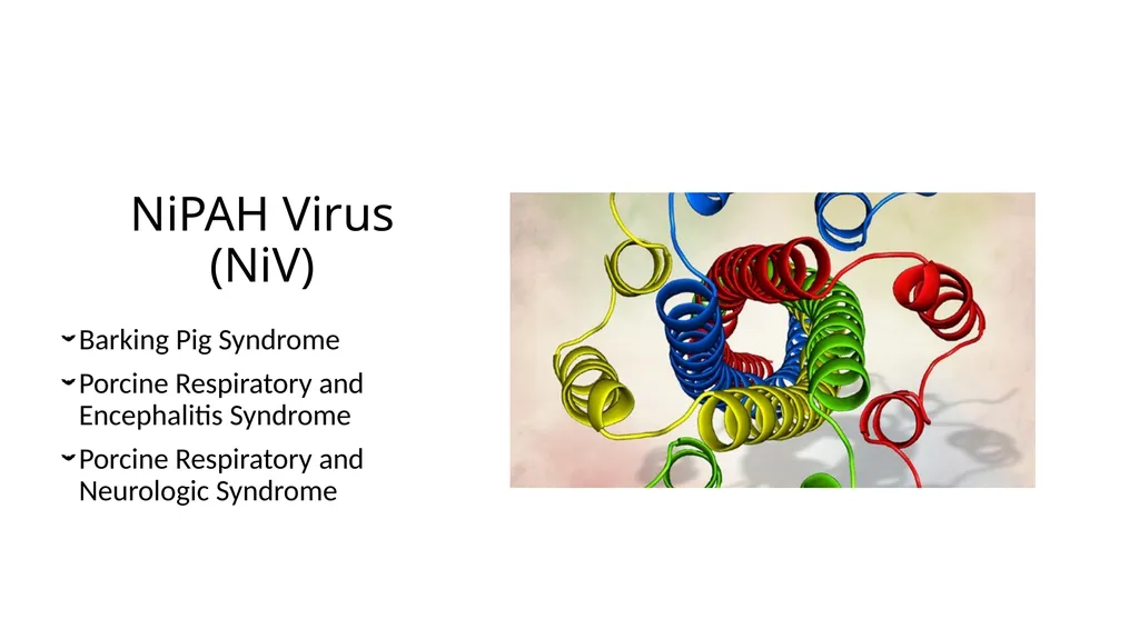 Preventing Future Pandemics. Nipah Virus “Bat with - slide 5 of 32