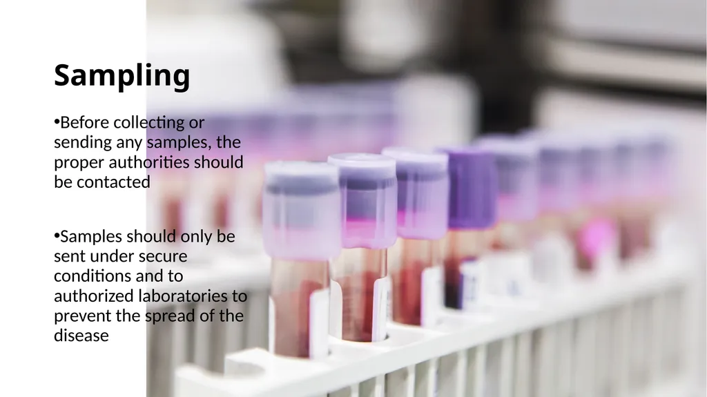 Preventing Future Pandemics. Nipah Virus “Bat with - slide 25 of 32