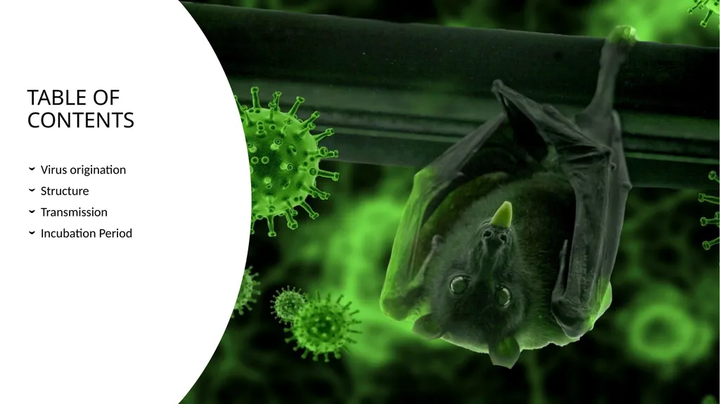 Preventing Future Pandemics. Nipah Virus “Bat with - slide 6 of 32