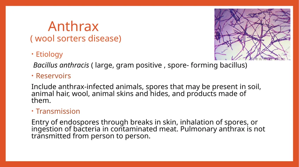 Zoonotic infections CLS 416 Learning outcomes - slide 13 of 40
