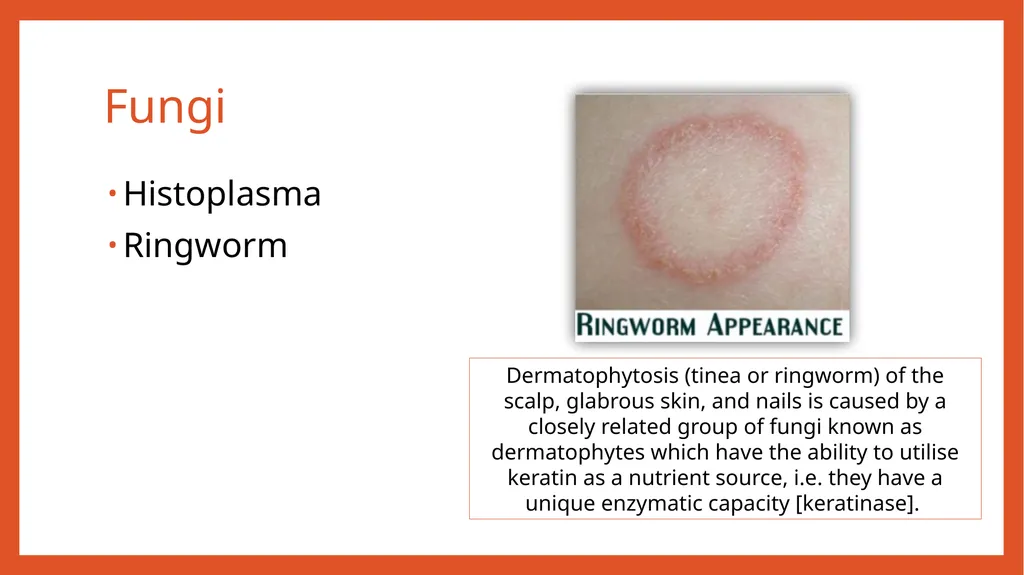 Zoonotic infections CLS 416 Learning outcomes - slide 38 of 40