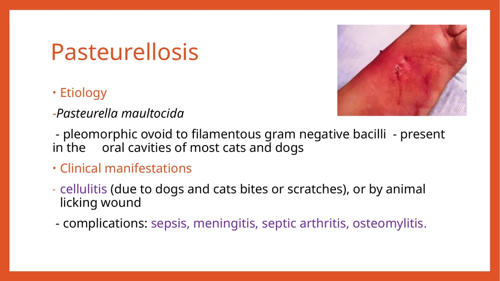 Zoonotic infections CLS 416 Learning outcomes - slide 12 of 40