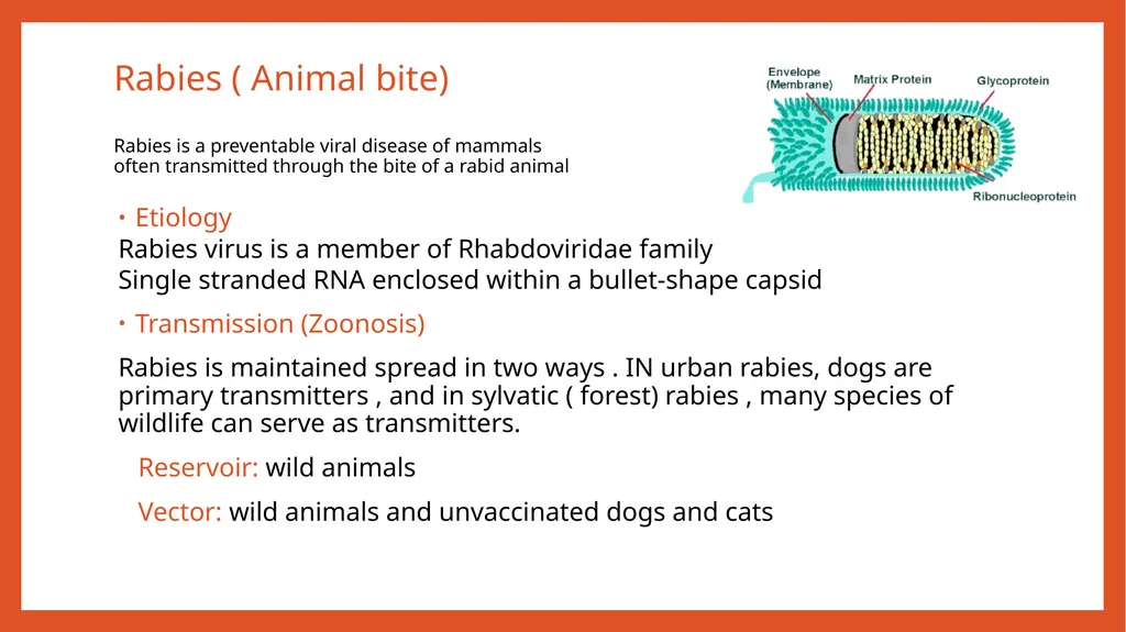 Zoonotic infections CLS 416 Learning outcomes - slide 8 of 40