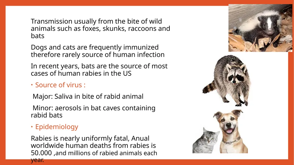 Zoonotic infections CLS 416 Learning outcomes - slide 9 of 40