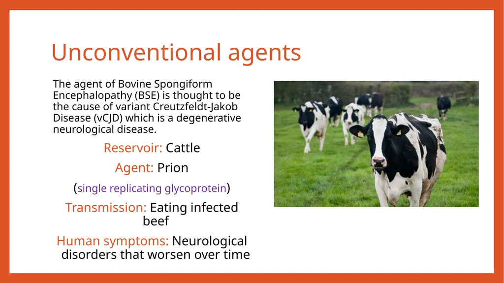 Zoonotic infections CLS 416 Learning outcomes - slide 39 of 40