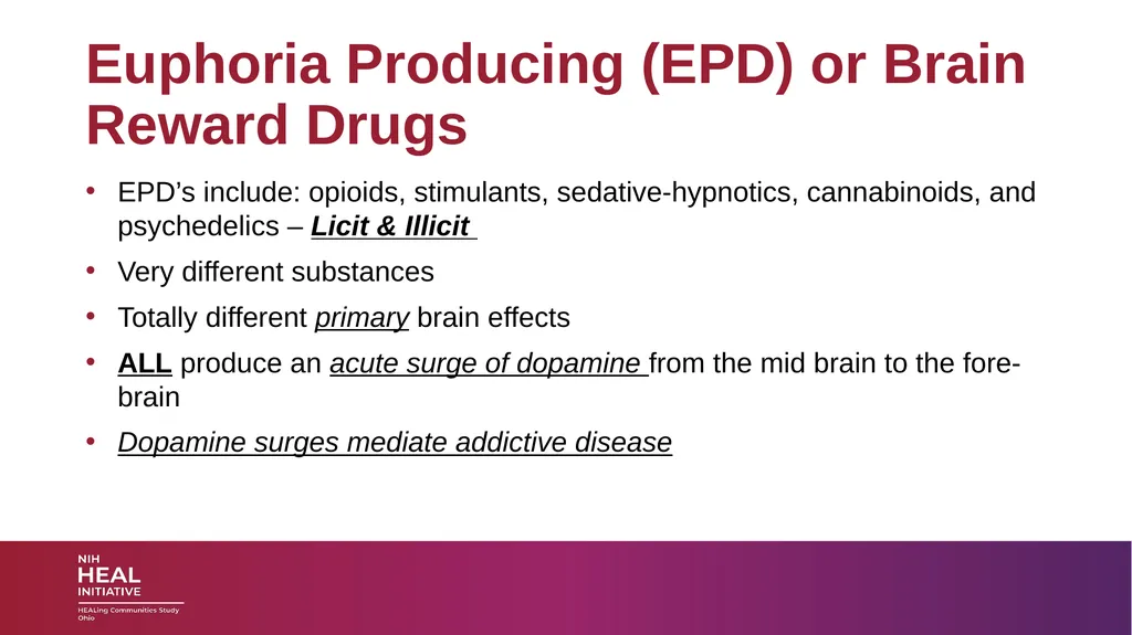 SUBSTANCE USE DISORDERS: Overview and applications - slide 3 of 48