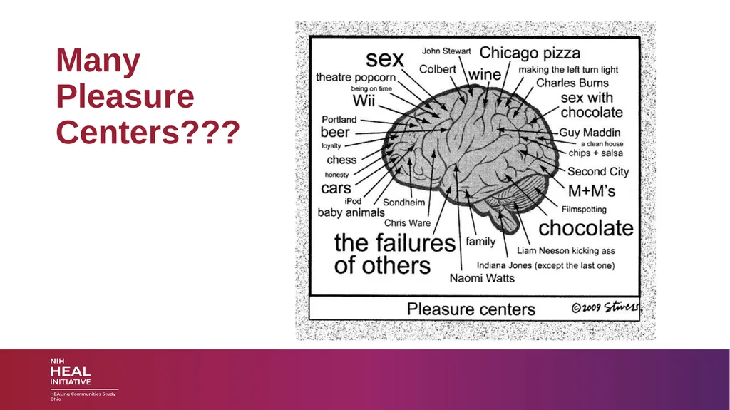 SUBSTANCE USE DISORDERS: Overview and applications - slide 5 of 48