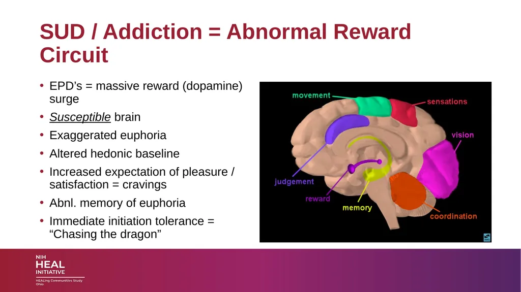 SUBSTANCE USE DISORDERS: Overview and applications - slide 8 of 48
