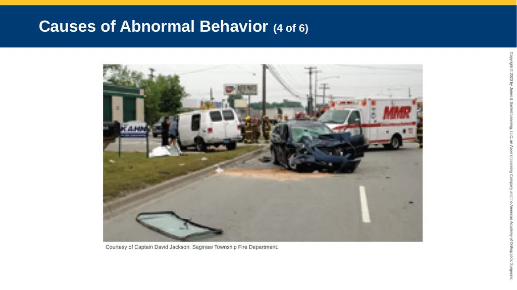 Psychiatric Emergencies CHAPTER 29 Introduction - slide 10 of 84