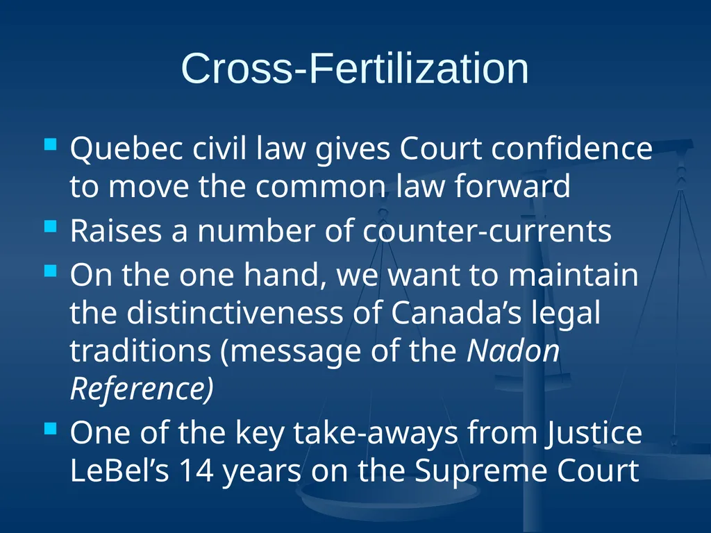 Good Faith in Contractual Relations Professor - slide 35 of 38