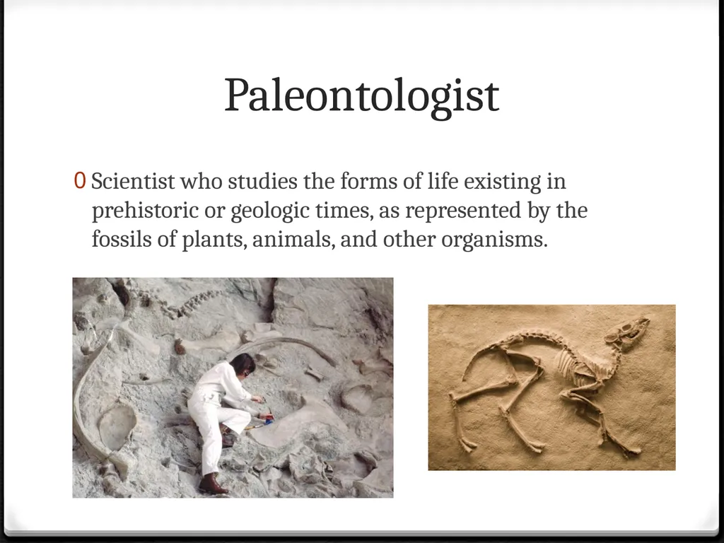 Peopling of the World: Prehistory – 2500 B.C. - slide 6 of 29