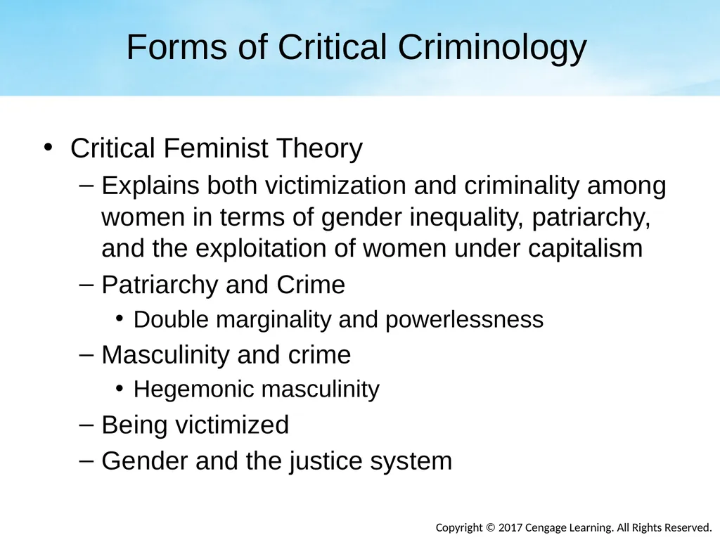 Chapter Eight Social Conflict, Critical - slide 17 of 23