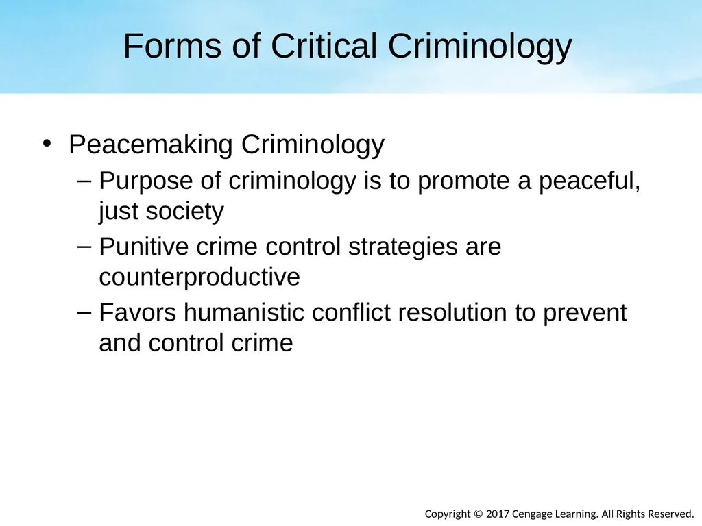 Chapter Eight Social Conflict, Critical - slide 20 of 23