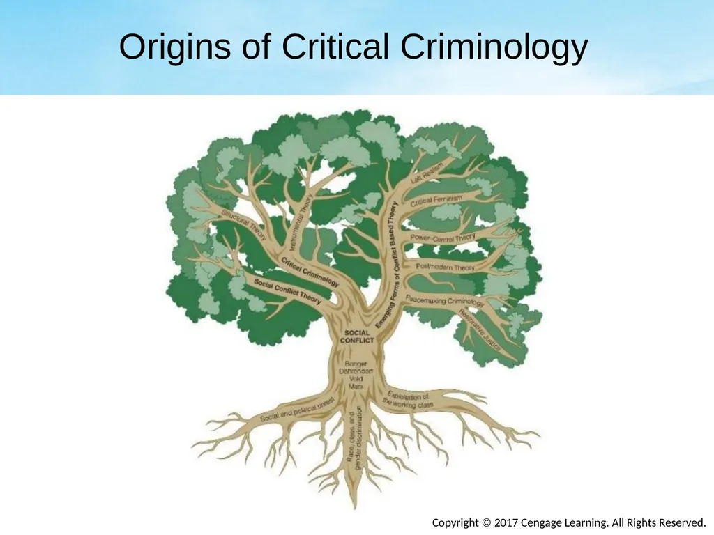 Chapter Eight Social Conflict, Critical - slide 5 of 23
