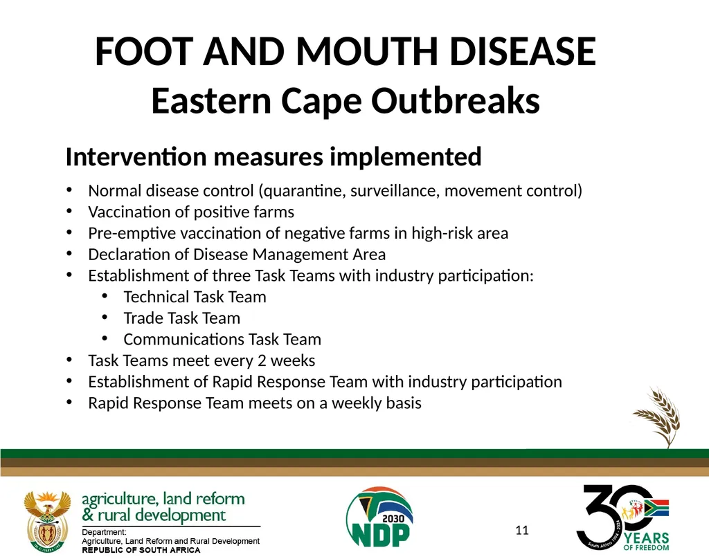 DATE: 27 AUGUST 2024 FOOT AND MOUTH DISEASE IN - slide 11 of 23