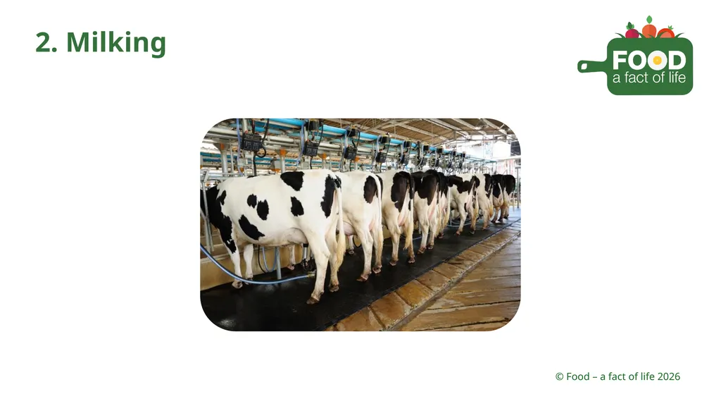 Food is processed Strawberries 1. Growing 2. - slide 18 of 22