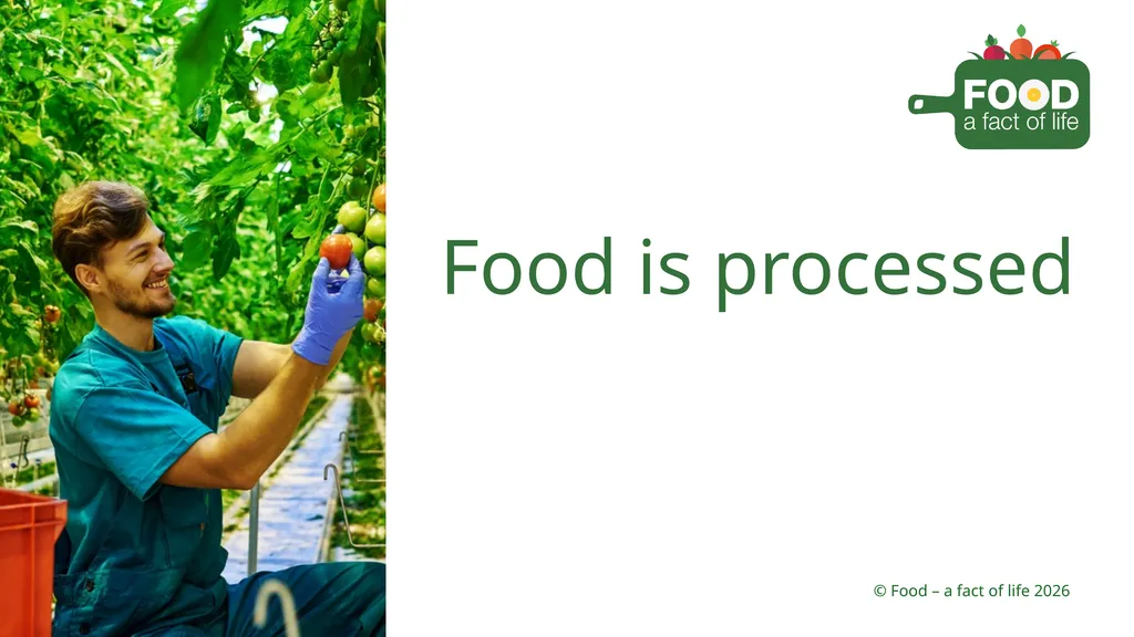 Food is processed Strawberries 1. Growing 2. - slide 1 of 22