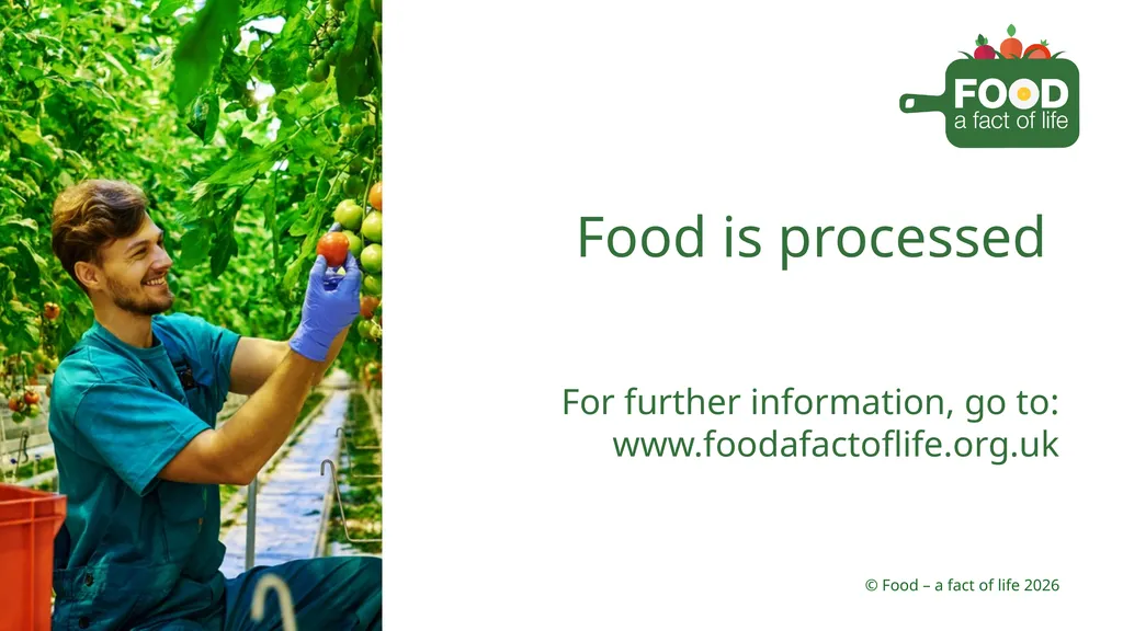 Food is processed Strawberries 1. Growing 2. - slide 22 of 22