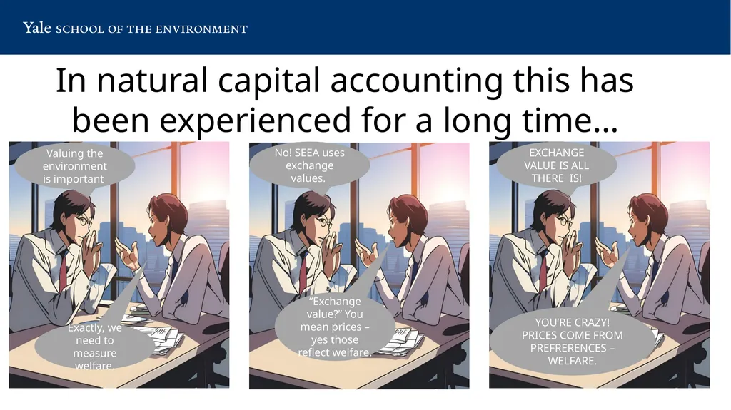Minding Ps & Qs of Natural Capital Accounting: - slide 3 of 17