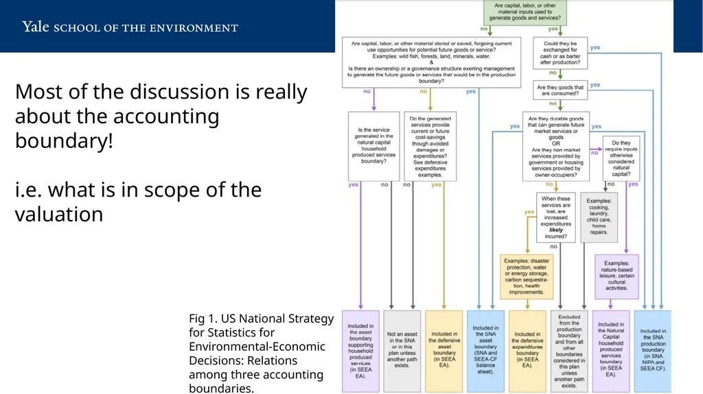 Minding Ps & Qs of Natural Capital Accounting: - slide 5 of 17