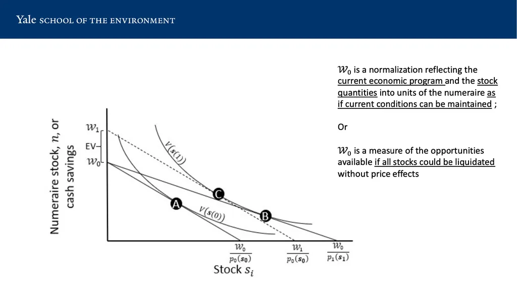 Minding Ps & Qs of Natural Capital Accounting: - slide 11 of 17