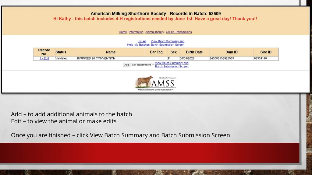 Online Registration Starting Online Registration - slide 11 of 13