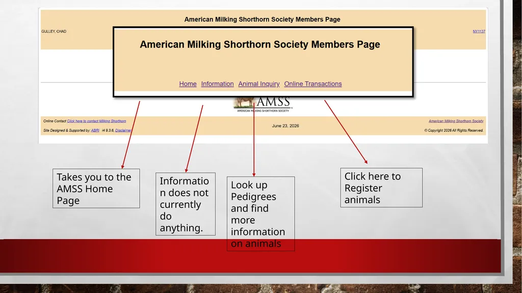 Online Registration Starting Online Registration - slide 4 of 13