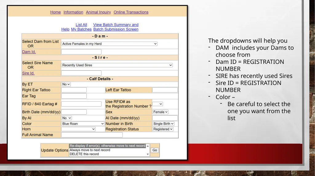 Online Registration Starting Online Registration - slide 9 of 13